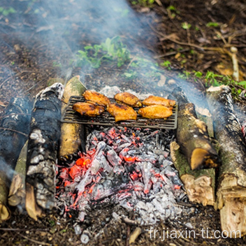 Plaque de barbecue au charbon de bois en titane pour le camping